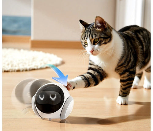 Cat playing with a toy on a wooden floor