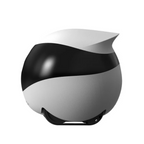 Black and white helmet on a white background